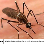 Khyber Pakhtunkhwa Reports First Dengue-Related Death of the Year