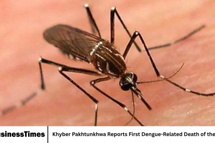 Khyber Pakhtunkhwa Reports First Dengue-Related Death of the Year