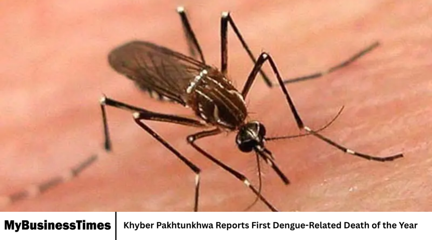 Khyber Pakhtunkhwa Reports First Dengue-Related Death of the Year